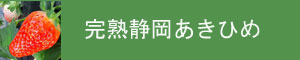 静岡いちごあきひめ通販の海野農園