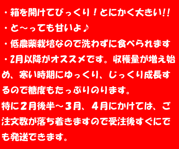 12の紹介文