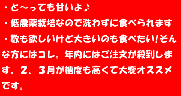 15の紹介