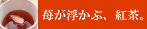 静岡いちごあきひめの海野農園のいちご紅茶「苺が浮かぶ、紅茶。」